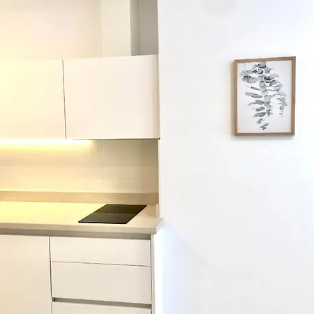 Apartment Castro Holidays - Apto D Centrico Terraza Con Garaje Gratis Castro Urdiales