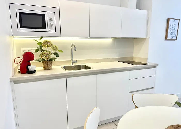 Holidays - Apto D Centrico Terraza Con Garaje Gratis Apartment Castro Urdiales