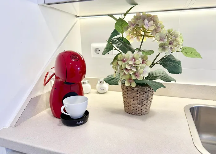 Holidays - Apto D Centrico Terraza Con Garaje Gratis *