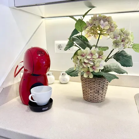 Holidays - Apto D Centrico Terraza Con Garaje Gratis *